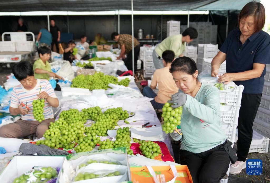 百旺官网下载